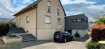 Grande Maison Familiale avec Terrain Arboré à Mulhouse – Limite Pfastatt