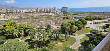 Piso en Playa Mucha Vista, Campello (el)