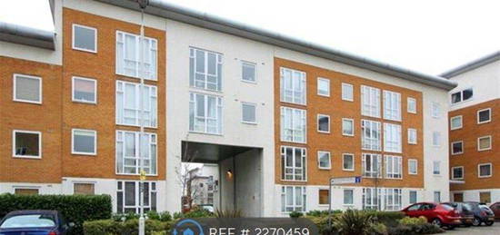 1 bed flat to rent