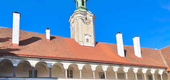 Wohnen im Wasserschloss - "Billiard" Wohnung