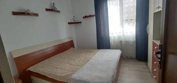 Apartament de 2 camere , 60 mp, decomandat, Pet friendly, zona Drumul Taberei