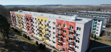 Byt 2+1, 56 m², Milovice nad Labem, 289 24