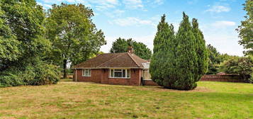 Bungalow for sale in Newbury Road, Headley, Thatcham, Hampshire RG19