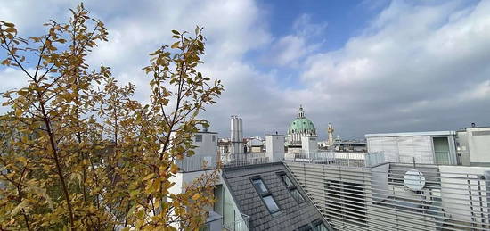 400m² Dachgeschoss Oase im herrschaftlichen Palais - zu kaufen in 1040 Wien