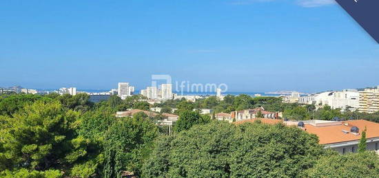 T3  Vallon de Toulouse Terrasse 10ème