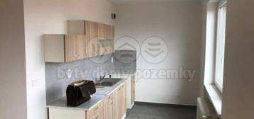 Byt 2+1, 52 m², Dvorce u Bruntálu, 793 68