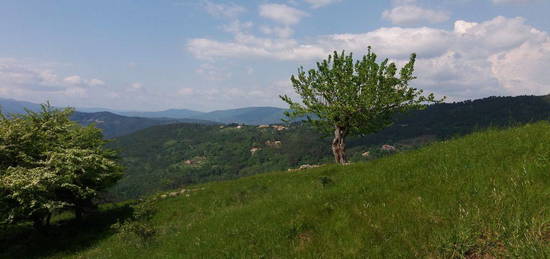 Mas Cevennes