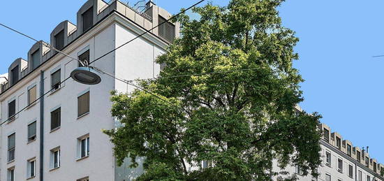 GROSSE NEUGASSE - MODERNE NEUBAUWOHNUNGEN - ab 32 - 61 m² WFL - RENOVIERTES ERSTKLASSIGES HAUS - GRÜNBLICK - TIEFGARAGE - FREIE MIETZINSBILDUNG - 2 LIFTE