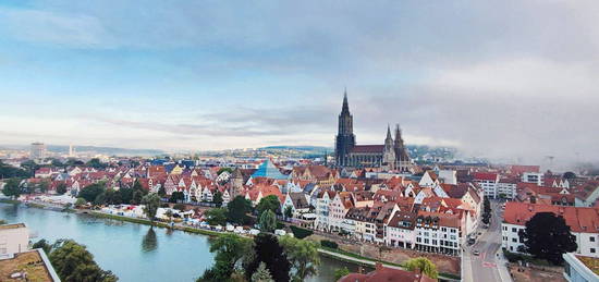 Das Ulmer Münster im Blick...