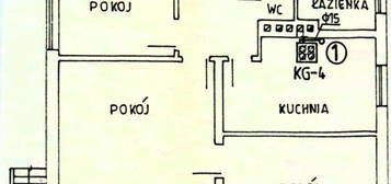 Dom 131m2, 4 pok, dział. 1800m2 w Pomiechówku za 800 tys. zł