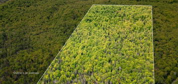 Con 6 Lot 9 Parcel 2720, Searchmont,