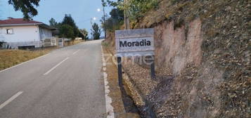 Moradia em Pedra, remodelada, Vale do Dão