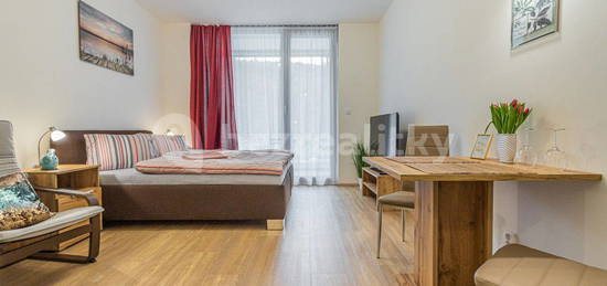 Pronájem bytu 1+kk 35 m², Hlaváčkova, Praha