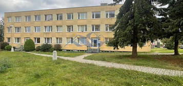 Prodej bytu 3+1 660 m²