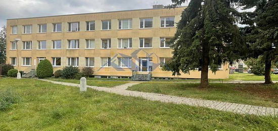 Prodej bytu 3+1 660 m²