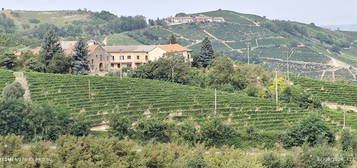 Cascina Località Montà, Mango