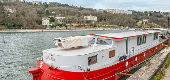 Péniche avec terrasse bordant le quartier de Confluence