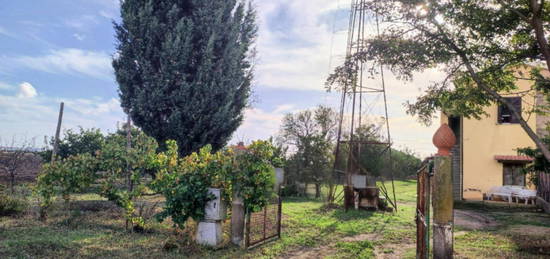 Casale Località Olivastro, Campagna, Tarquinia