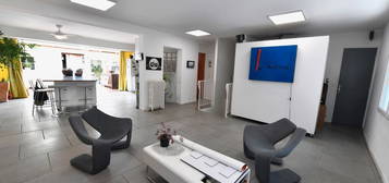 Maison 440 000 particulier à particulier avec patio toit ouvrant atelier garage Montpellier Ouest Quartier Celleneuve idéal artisans, artistes