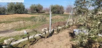 Finca r&#xFA;stica en calle de la Acequia