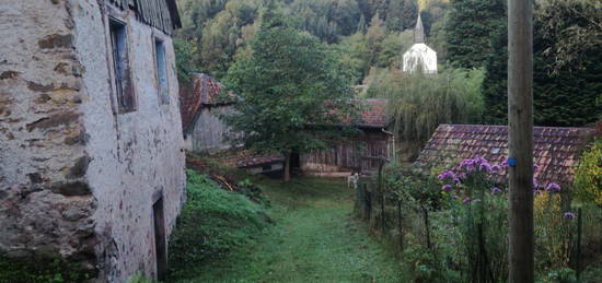 Bauernhaus in idyllischer Lage im, Nationalpark der Hochvogesen