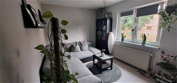 3 Raum Wohnung mit Garten in Königsee