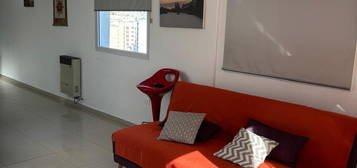 Departamento 1 Dormitorio - Terraza -  Amoblado - Avellaneda Al 300 - Alberdi