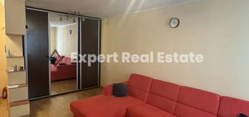 APARTAMENT SPATIOS 2 CAMERE-SALA PALATULUI-PET FRIENDLY