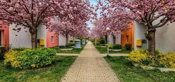 4-ZIMMER-ERDGESCHOSSWOHNUNG MIT DACHTERRASSE & GARAGE // RUHELAGE AM SOLDANELLENWEG