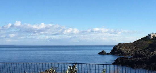 Particulier vend a collioure appartement rdc avec terrasse sur superbe vue mer et acces direct a la plage