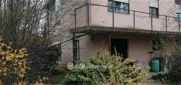 Tiszaföldvári eladó 147 nm-es ház #4627937