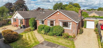 Detached bungalow for sale in River Close, Wimborne BH21