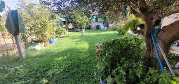 Finca rústica en venta en Camino Mejorada, 279, Tres Olivos - La Piedad