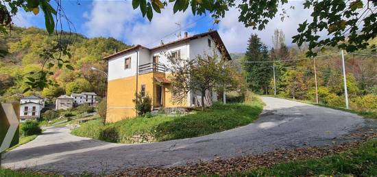 Casa indipendente in vendita in località Alpepiana, 60