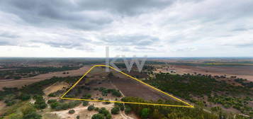 Venda De Monte Alentejano Com 22 Hectares Em Ferreira Do Alentejo