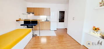 Byt 1+kk, 27 m², Pelušková, Praha