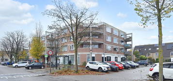 Driewegplein 27