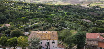 Terratetto plurifamiliare Località Poggio Murella, Poggio Murella, Manciano