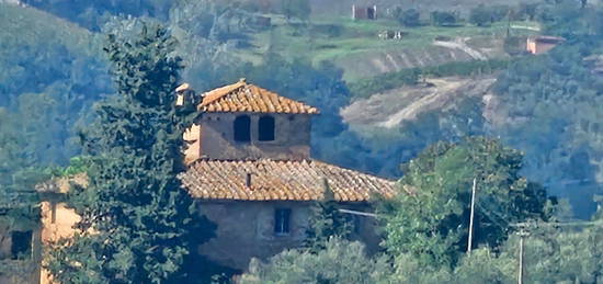 Proprietà rustica in vendita in via di Megognano