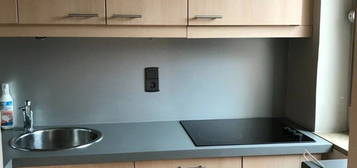 Appartement meublé 2 pièces T2 F2 34 m² à Toulouse 166 CHEMIN AMOUROUX 31500 à louer