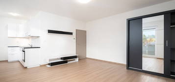 Pronájem bytu 1+kk 39 m²