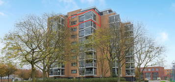 Erasmuspark 133