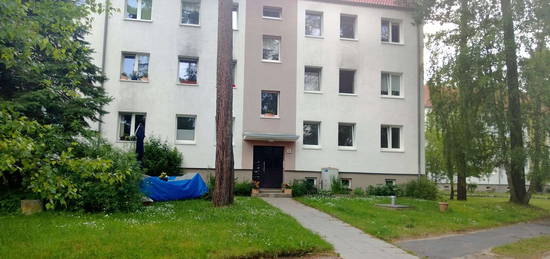 Schöne 3-Raum-Wohnung idyllisch im Grünen und Ostseenähe gelegen