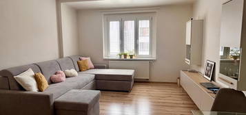 Pronájem bytu 2+kk 55 m² (Jednopodlažní)