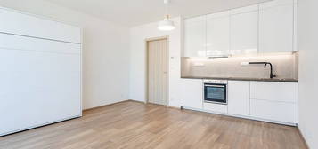 Pronájem bytu 1+kk 32 m²