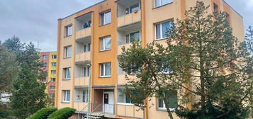 Prodej bytu 2+1 56 m²