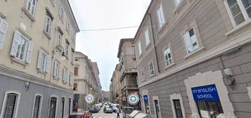 Trilocale in Via di Torrebianca a Trieste