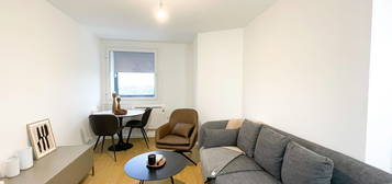 1 bed flat to rent