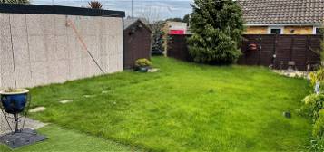 Semi-detached bungalow to rent in Oakcroft Gardens, Littlehampton BN17