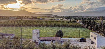 Casa rural en Llubí